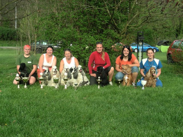 mistrovstvi_kokrspanelu_2012-blanche_mistr_small_a_archie_mistr_medium_a_ nejlepsi_american
